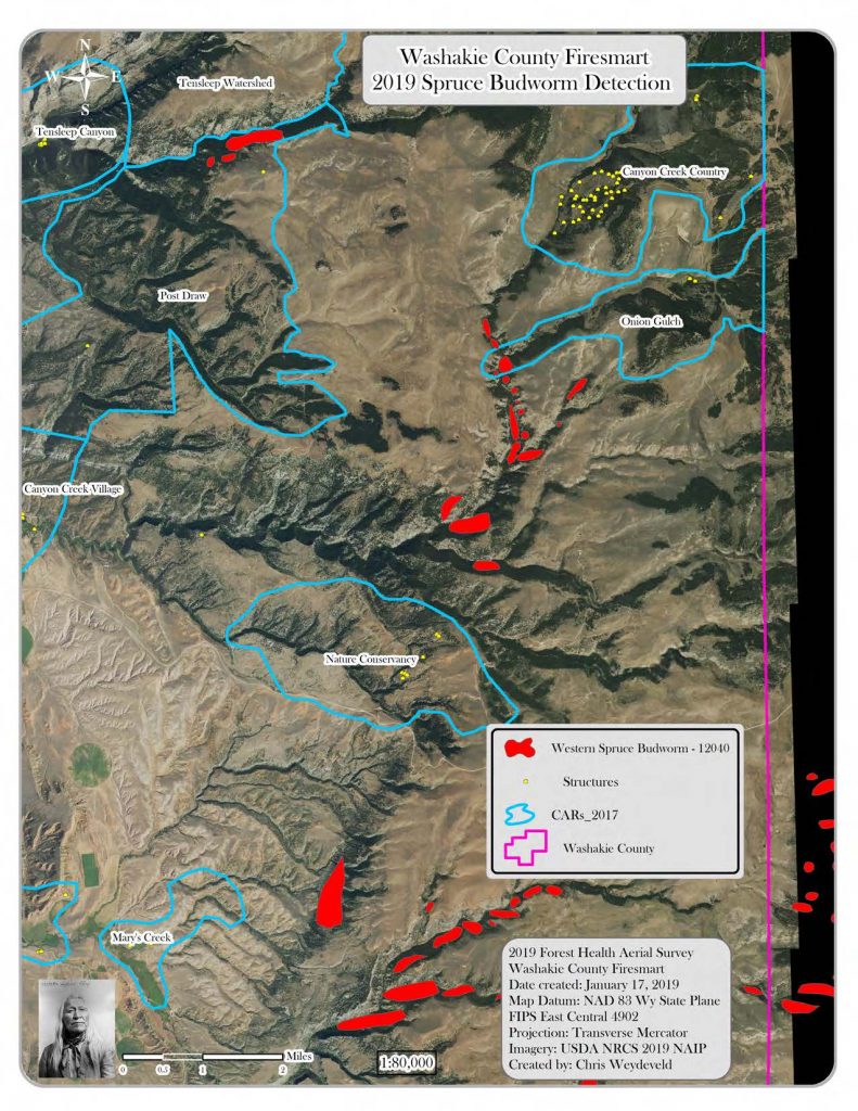 Map of infestation in Washakie County - aerial map from 2019